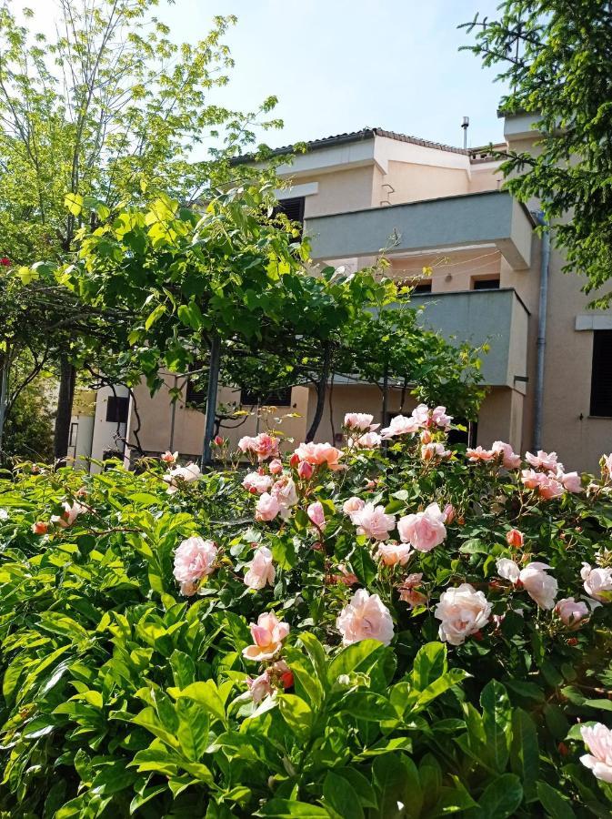 Apartman Adrijana Kastav, Free Wifi & Parking, 2 Bedrooms & Sea View エクステリア 写真