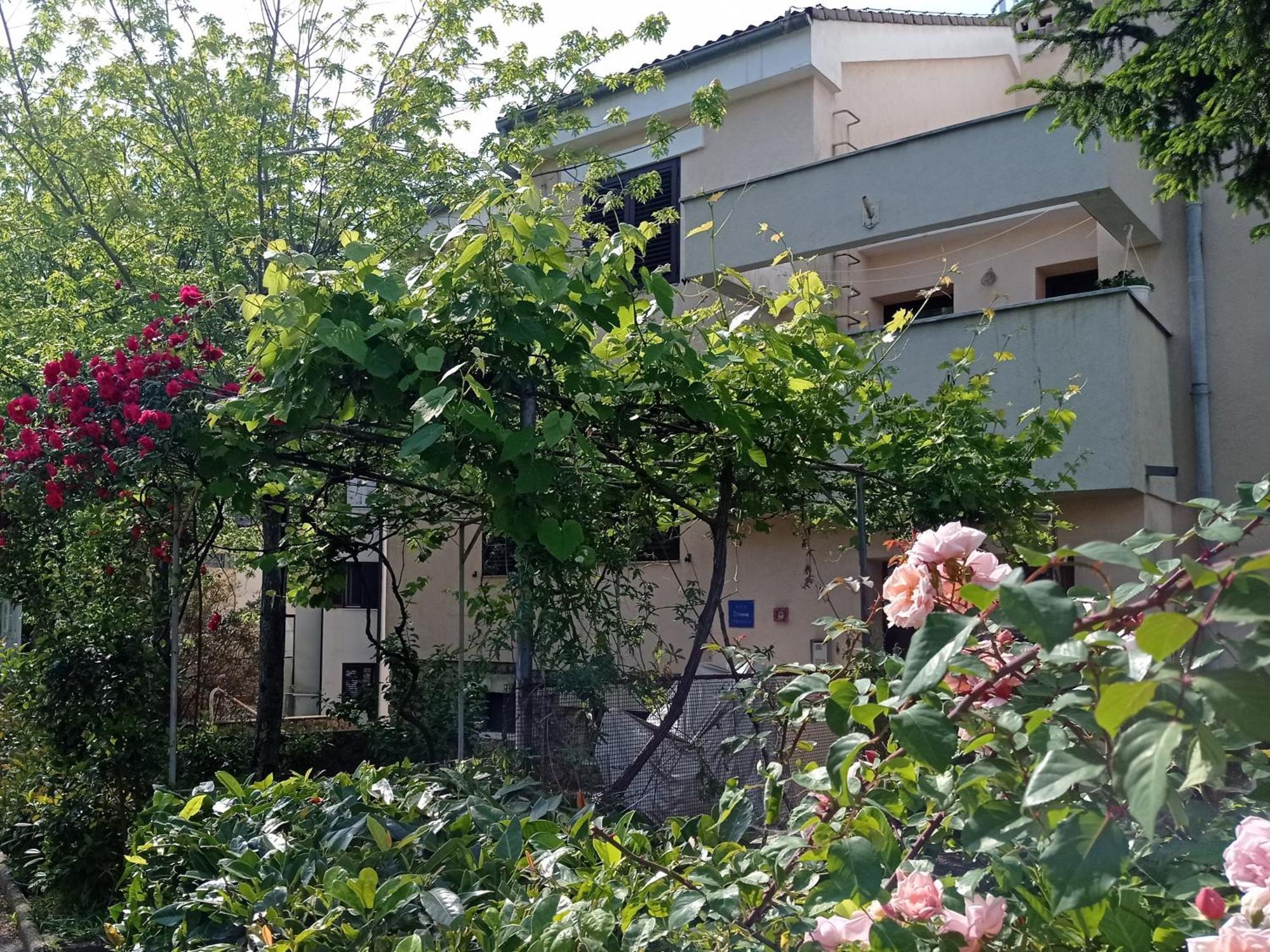 Apartman Adrijana Kastav, Free Wifi & Parking, 2 Bedrooms & Sea View エクステリア 写真